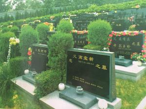 保定八旬老人苦寻哥哥墓地 家人发现《郭书林牺牲证明》